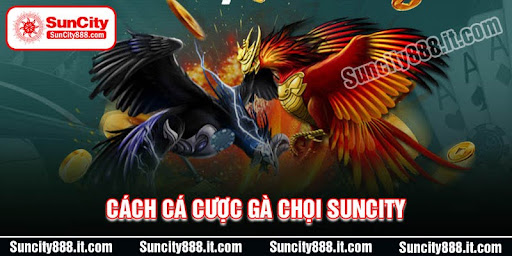 cach-ca-cuoc-ga-choi-toc-chien-toc-thang