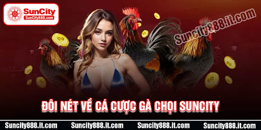 doi-net-ve-ca-cuoc-ga-choi-suncity