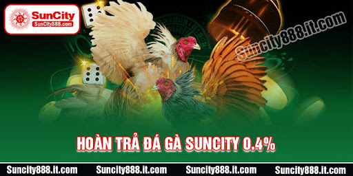 luu-y-khi-nhan-hoan-tra-da-ga-suncity-0.4%