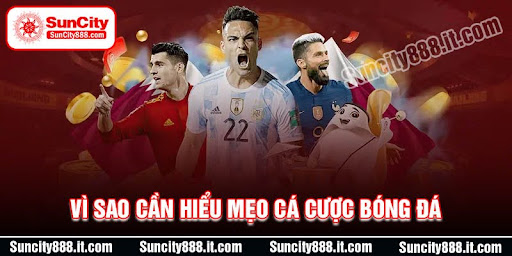 vi-sao-can-tim-hieu-meo-ca-cuoc-bong-da